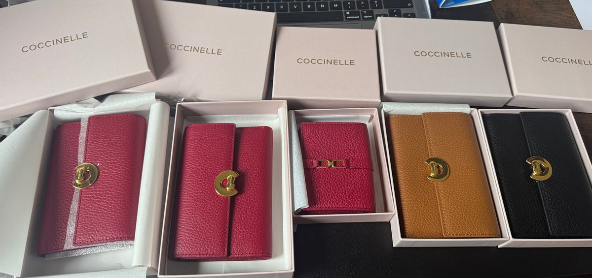 Coccinelė piniginė Medium dydžio supakuota į dėžutę