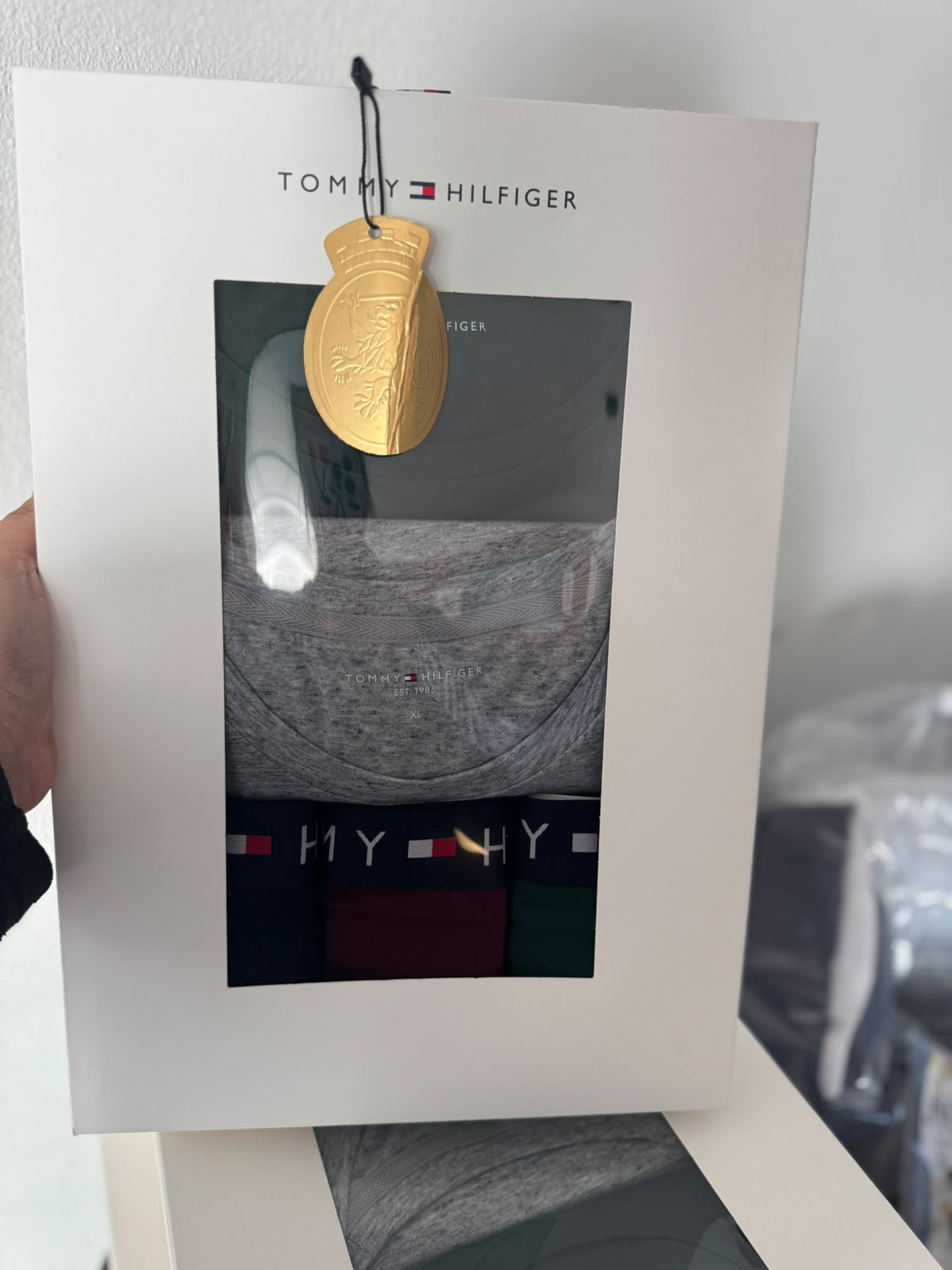 Tommy Hilfiger rinkinys: 2 marškinėliai ir 3 apatinės kelnaitės
